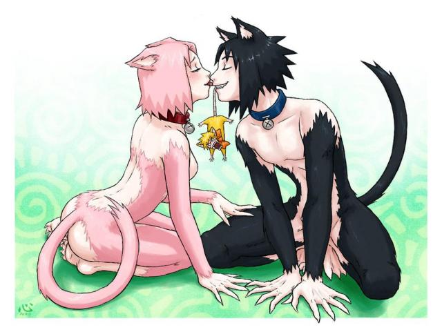 Team 7 Catfied!